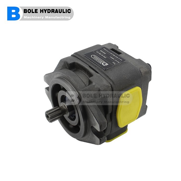 QT63-100-A QT Series Gear Pump