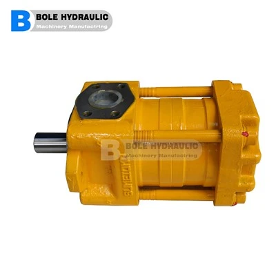 Gear Pump 082L-Bi -4 H 5-4 P -16 BSP16